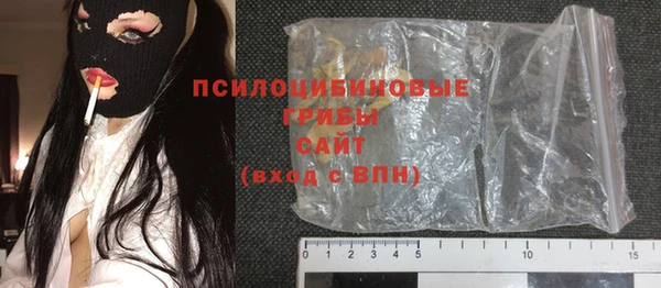 дмт Богородск