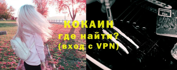 дмт Богородск