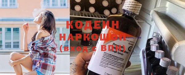 дмт Богородск